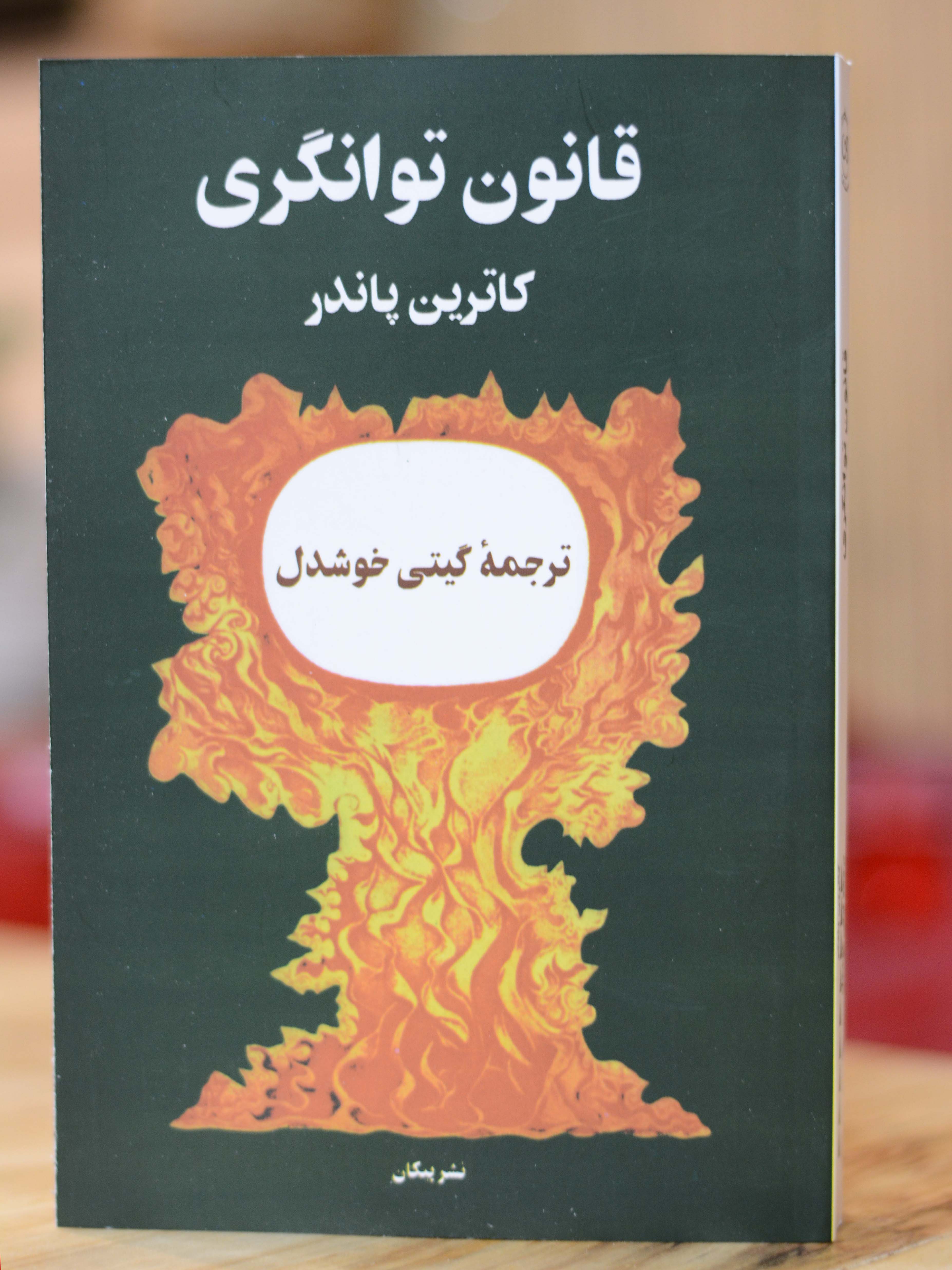 قانون توانگری اثری از کاترین پاندر