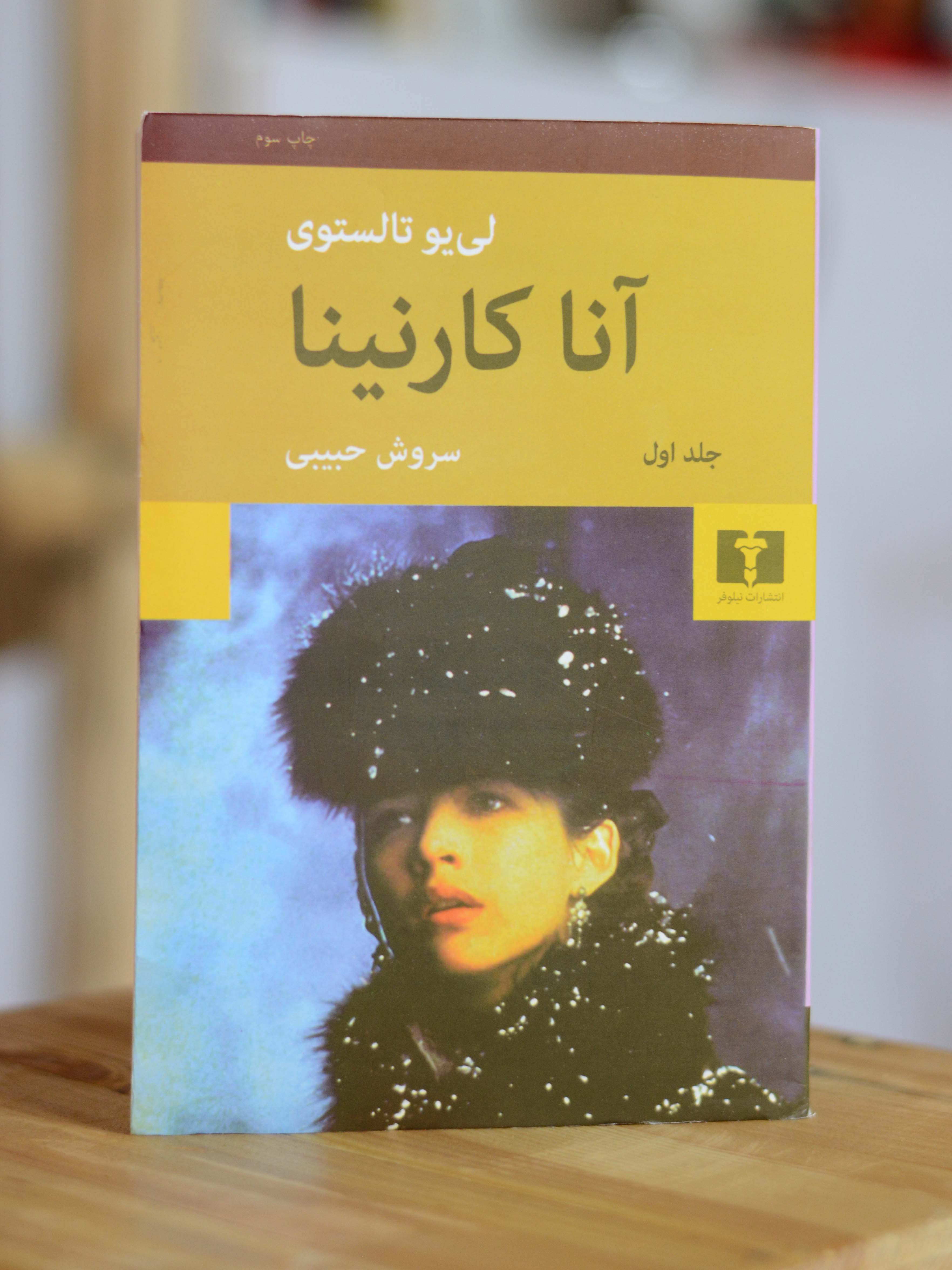 مجموعه دو جلدی آناکارنینا اثری از لیو تالستوی