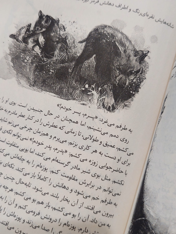 ستاره گرگ اثری از روزان پری