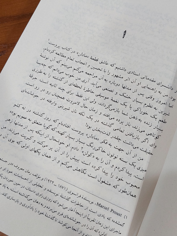 قلعه مالویل اثری از روبر مرل