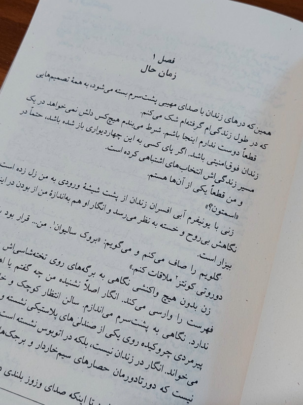 زندانی اثری از فریدا مک فادن