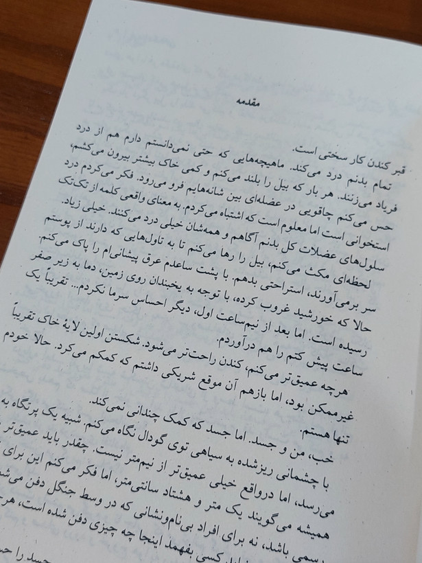 آموزگار اثری از فریدا مک فادن