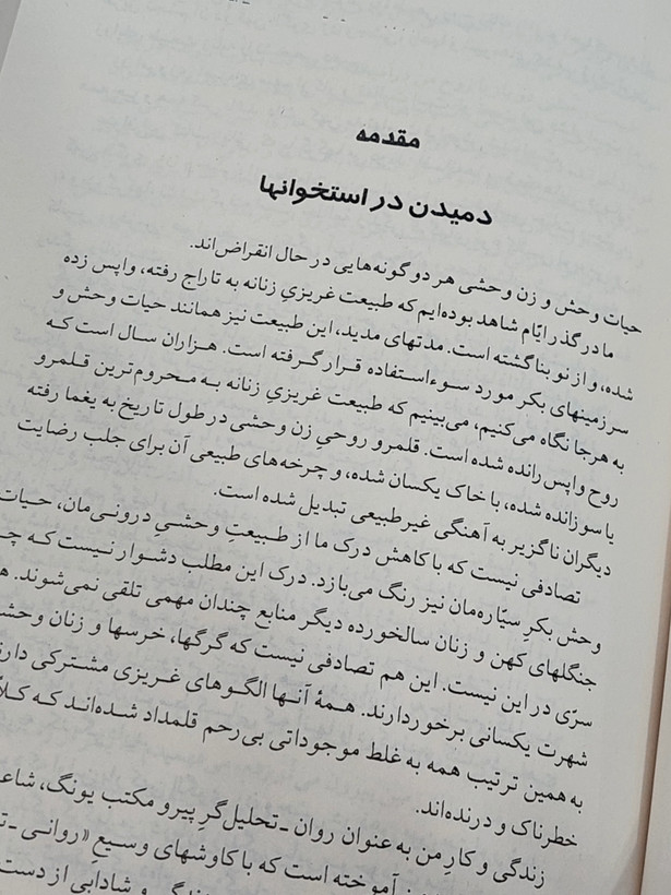زنانی که با گرگها میدوند اثری از کلاریسا پینکولا استس